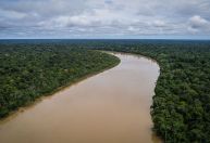 Mortes de defensores da Amazônia abalam imagem do país há mais de três décadas