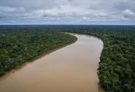 Visão de bioeconomia é a única possível para Amazônia, diz representante da ONU