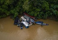 Justiça do Amazonas torna réus três envolvidos nas mortes de Bruno Pereira e Dom Phillips