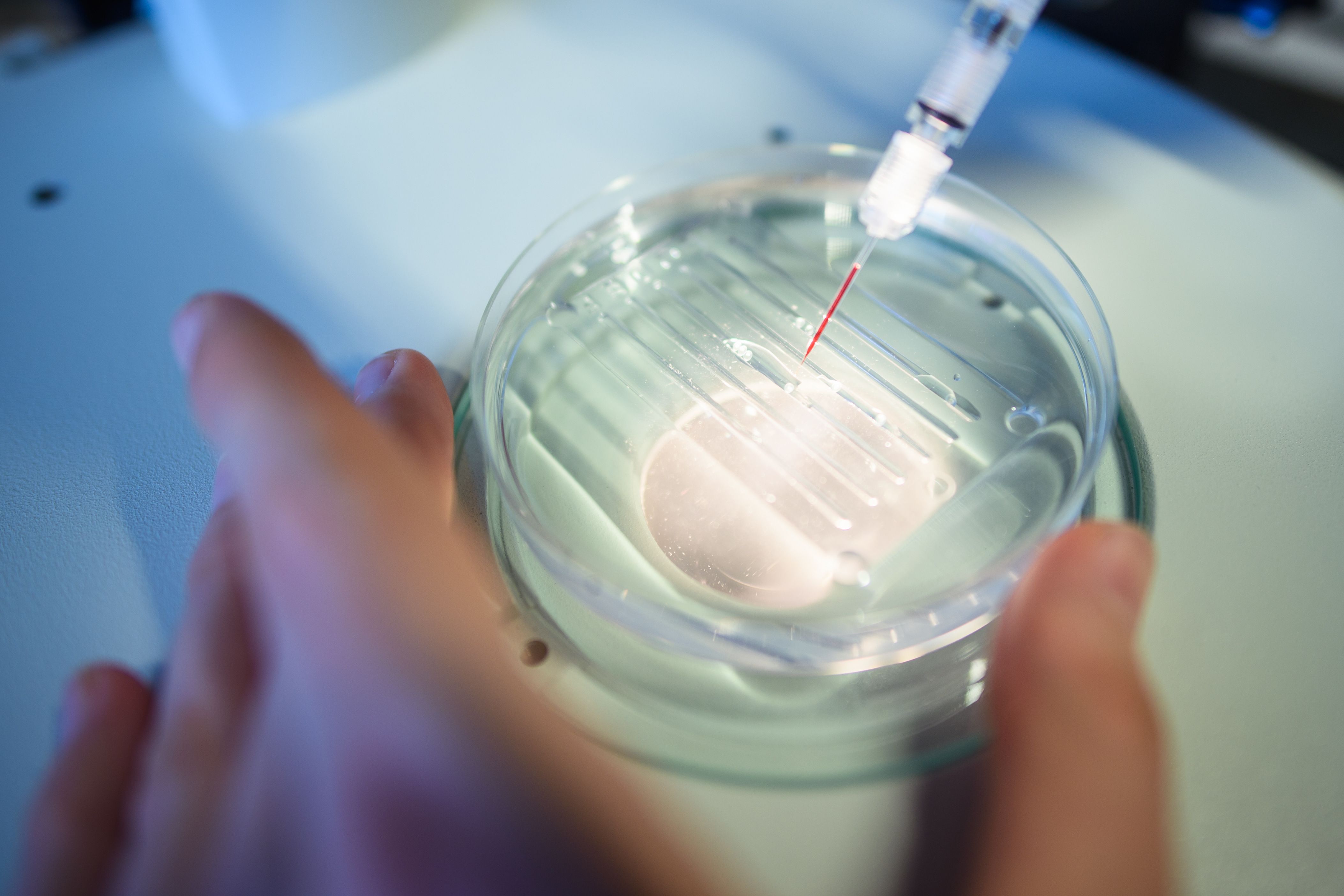 pesquisador realiza um processo CRISPR/Cas9 no Max-Delbrueck-Centre for Molecular Medicine | DNA | genética