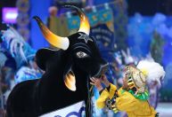 Parintins 2022: festival folclórico está de volta após dois anos de pandemia
