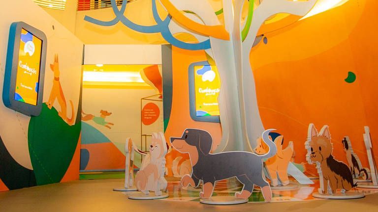 nós e os cães