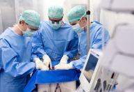 Cientistas realizam transplante após preservarem fígado fora do corpo por 3 dias