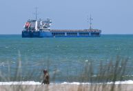 Ucrânia se revolta com libertação de navio que transportava grãos supostamente roubados