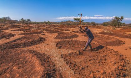 Como a engenharia ecológica antiga pode ajudar a consertar paisagens degradadas