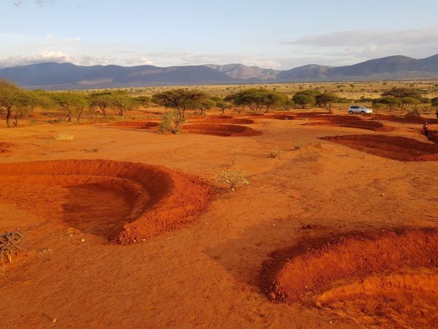 Os diques de formato semicircular retêm a água que escorre do solo e permitem que ela penetre na terra. / Justdiggit