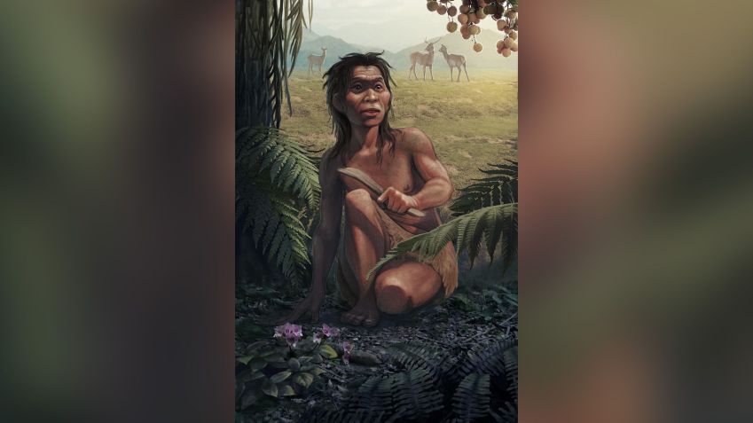 Esta é a impressão de um artista do Povo da Caverna Red Deer, que viveu em Yunnan, China, cerca de 14 mil anos atrás / Xueping Ji