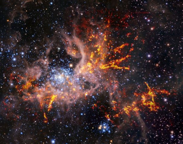 Esta imagem composta mostra a Nebulosa da Tarântula. A estrutura única em forma de teia das nuvens de gás levou os astrônomos ao apelido de aranha da nebulosa / ESO, ALMA (ESO/NAOJ/NRAO)/Wong e