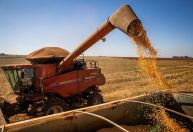 Guerra e câmbio preocupam o agronegócio para as safras de 2023, diz diretor da Abag