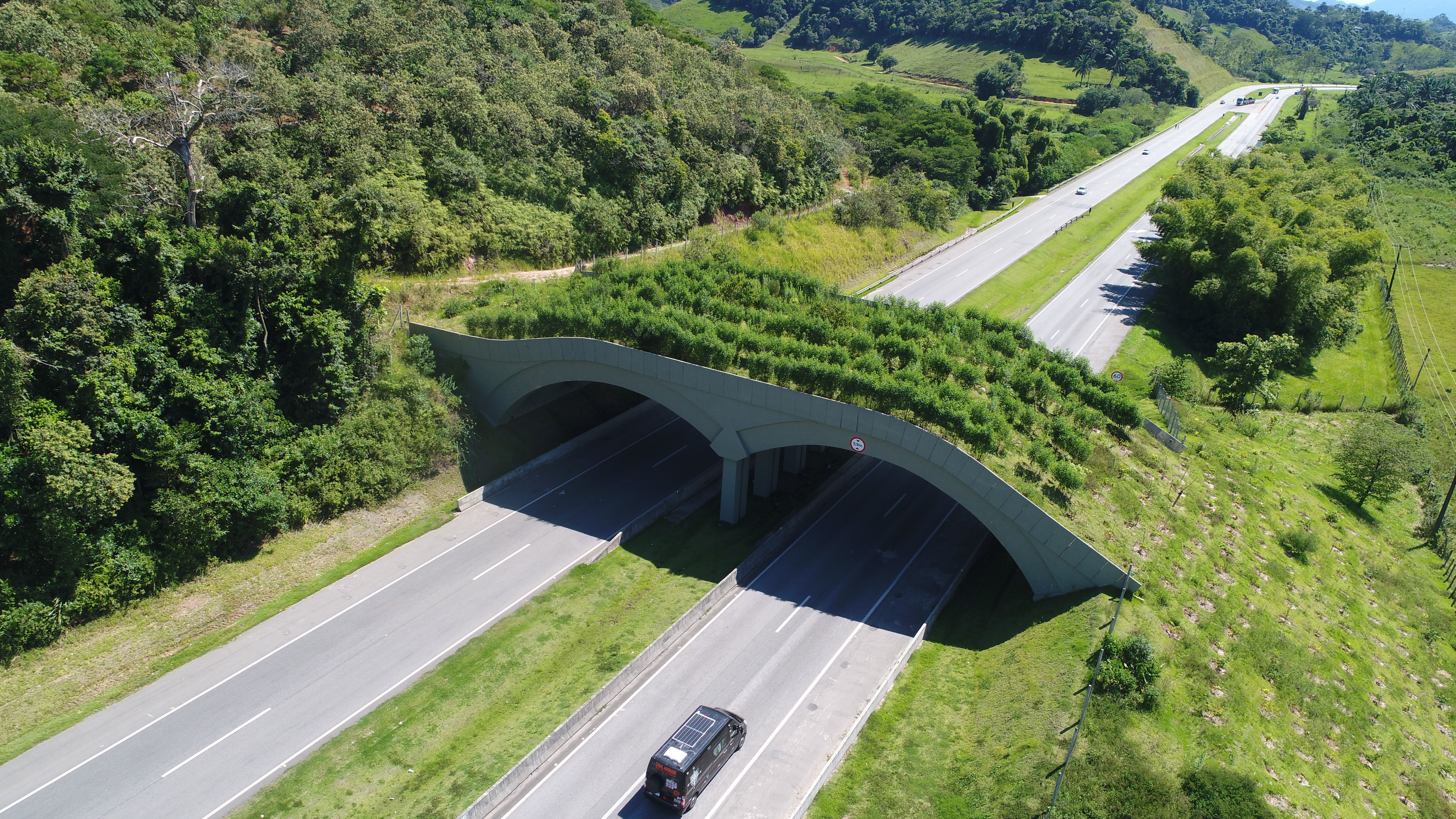 Viaduto arborizado favorece a circulação de animais / Arteris Fluminense/Divulgação