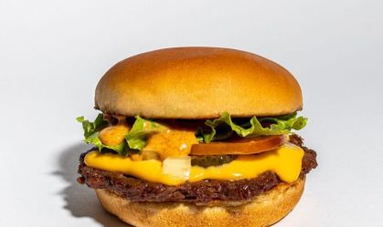 Bloom-hamburguer-funcional