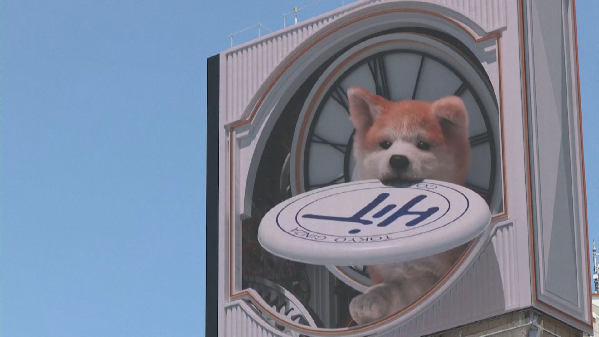 Cachorro 3D gigante chama atenção em Tóquio