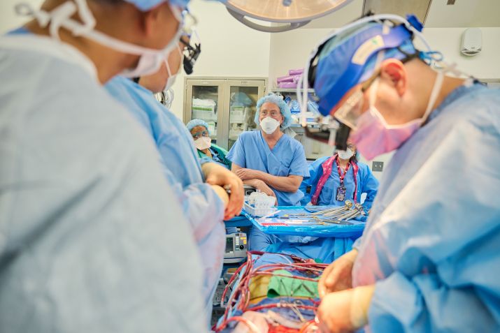 Médicos realizam transplante de coração de porco modificado em humano / Foto: Joe Carrotta/NYU Langone Health