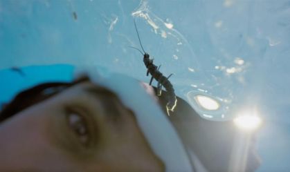 Conheça o dragão de gelo da Patagônia que vive em geleiras que estão desaparecendo