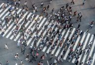 População mundial deve ultrapassar marca de 8 bilhões ainda em 2022