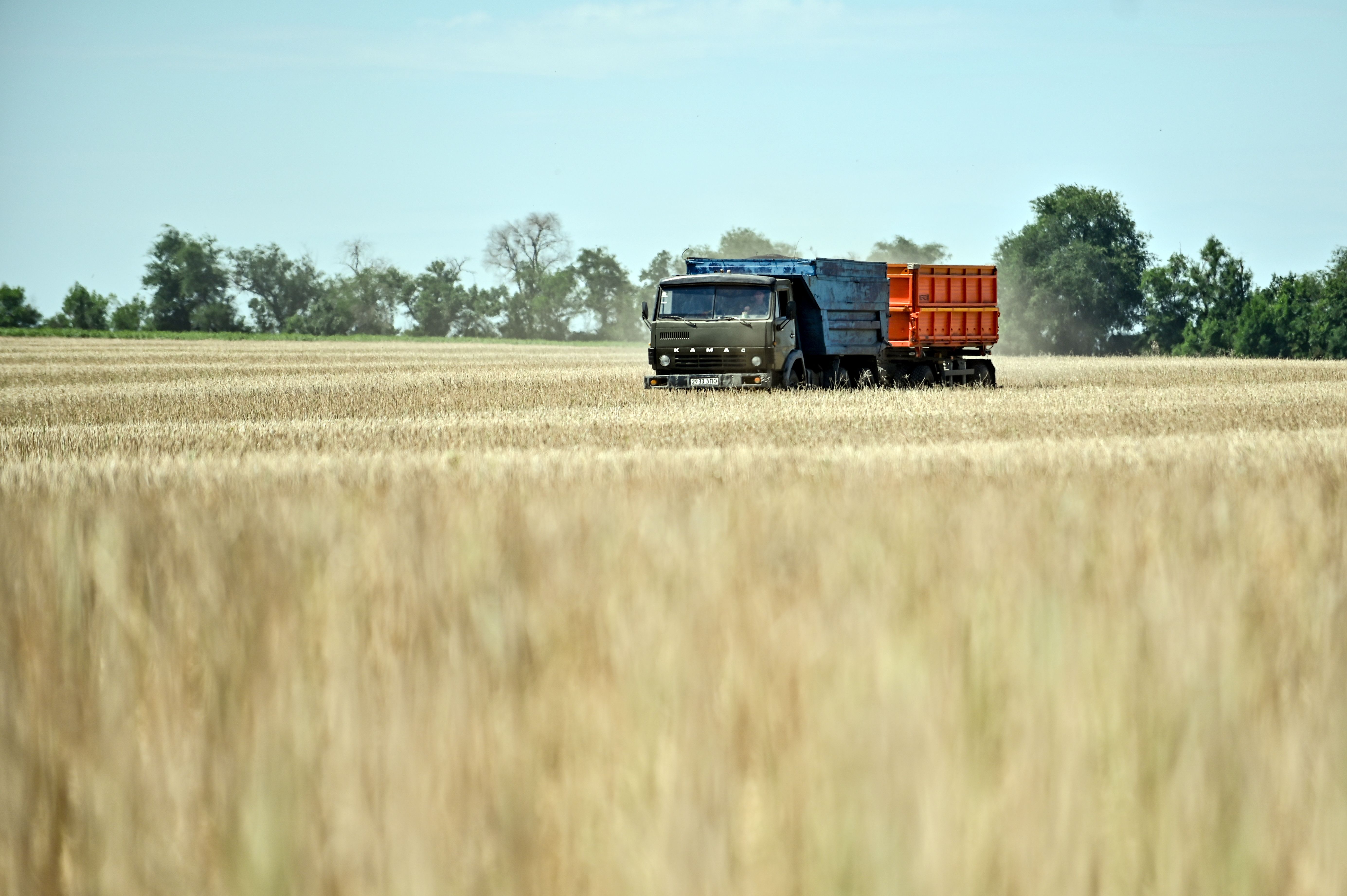 agricultura