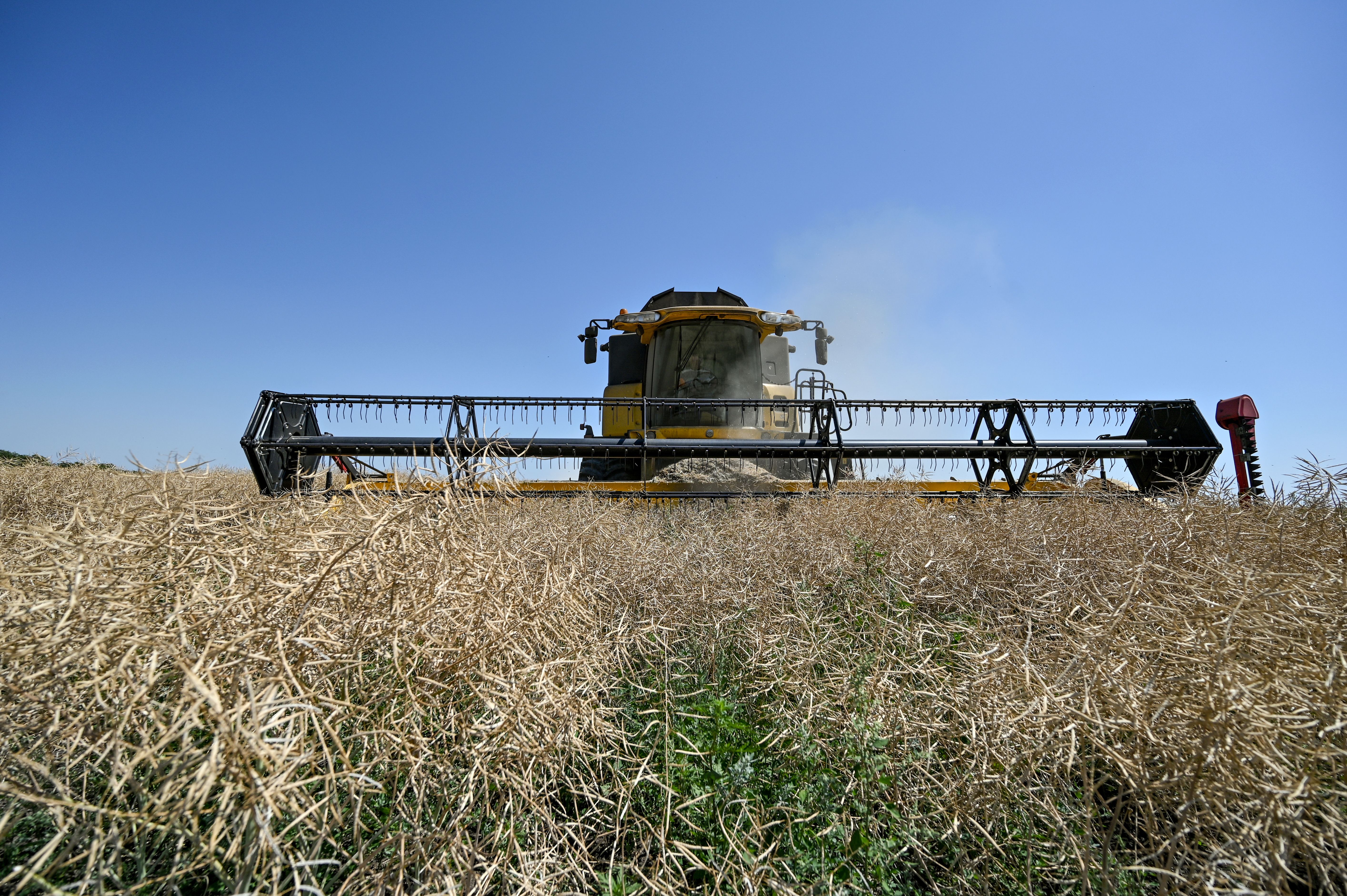 agricultura ucrânia