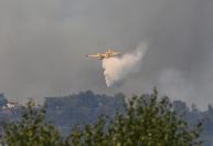 Como a máfia da Itália está convertendo os incêndios florestais em armas