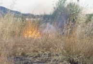 Imagens de satélite mostram estrago dos incêndios florestais na Europa