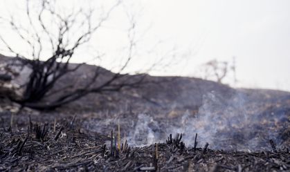Imagens mostram estradas da Espanha em chamas; confira