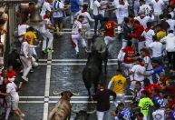 Homem morre após ser chifrado por touro em festival na Espanha
