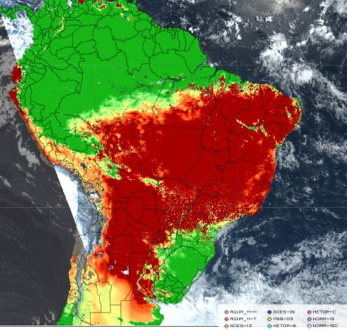 Focos de incêndio estão em vermelho no mapa / Reprodução