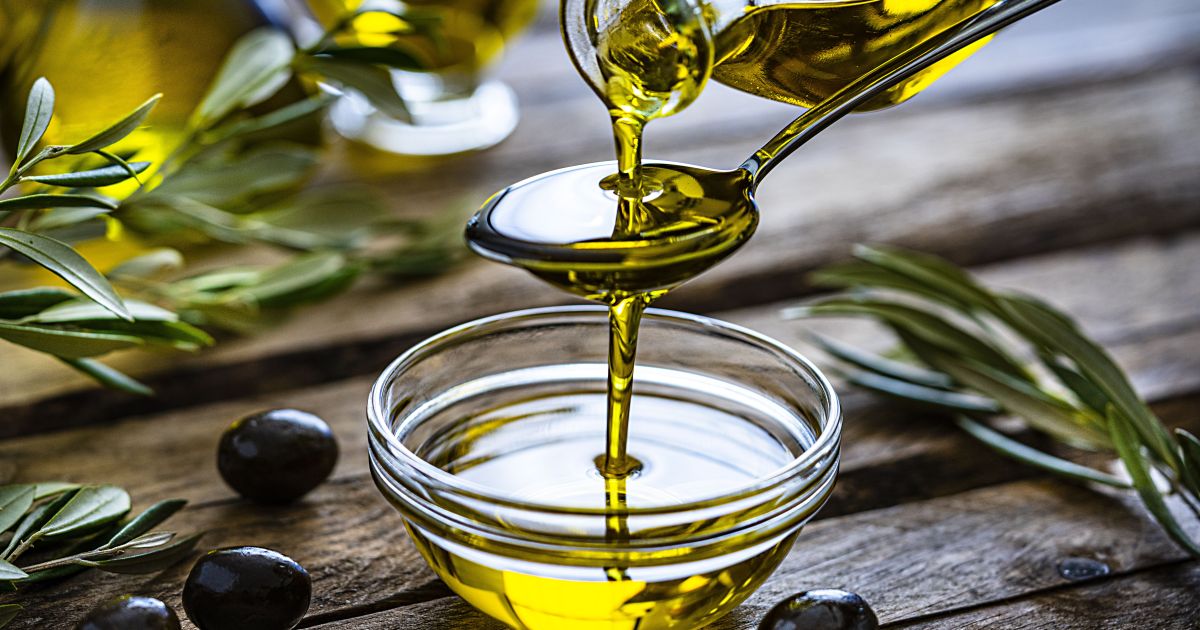 Oliveiras em plantação no Rio Grande do Sul