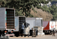 Pesquisa aponta que voucher de R$ 1 mil é alívio para 66,3% dos caminhoneiros