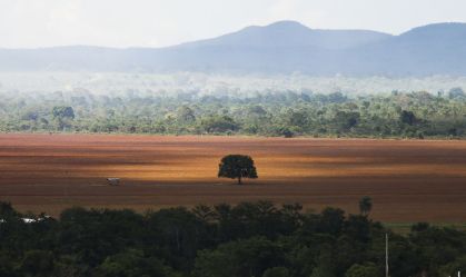 cerrado-floresta