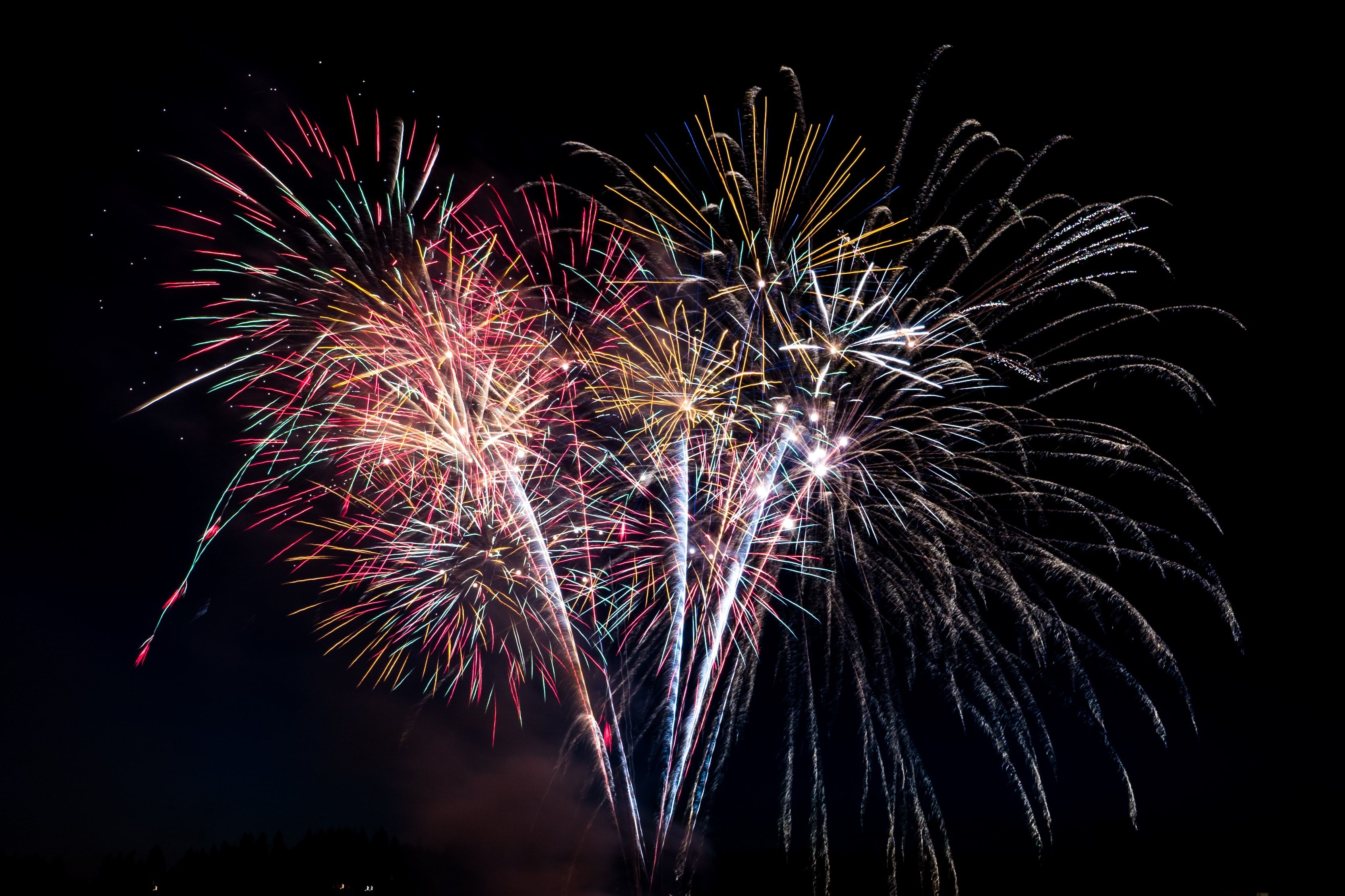 "Just own the night like the Fourth of July", diz a música da cantora Katy Perry / Elisha Terada/Unsplash
