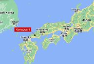 Cidade no Japão sofre com ataques do que podem ser múltiplos macacos selvagens