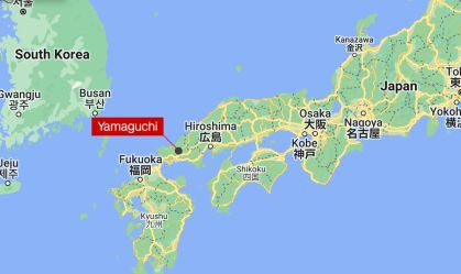 Cidade no Japão sofre com ataques do que podem ser múltiplos macacos selvagens