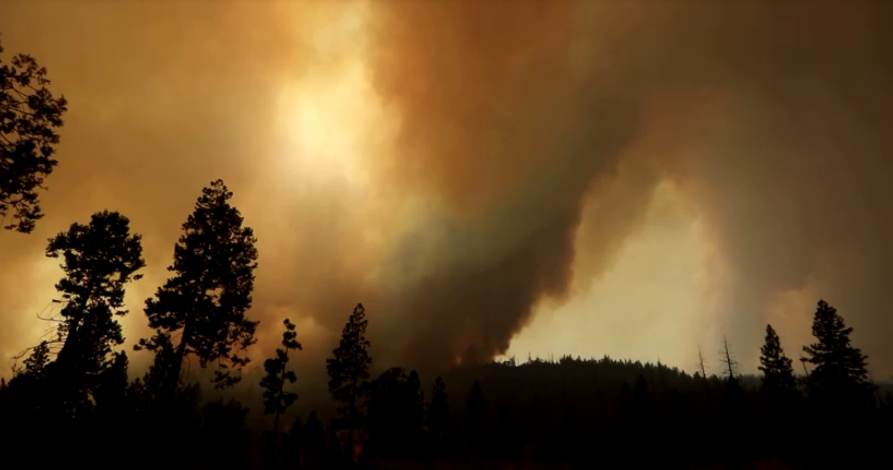 incêndio califórnia