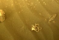 Rover Perseverance encontra misterioso feixe de cordas na superfície de Marte