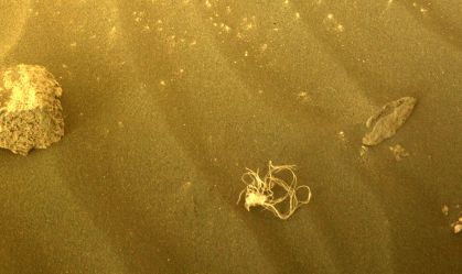 Rover Perseverance encontra misterioso feixe de cordas na superfície de Marte