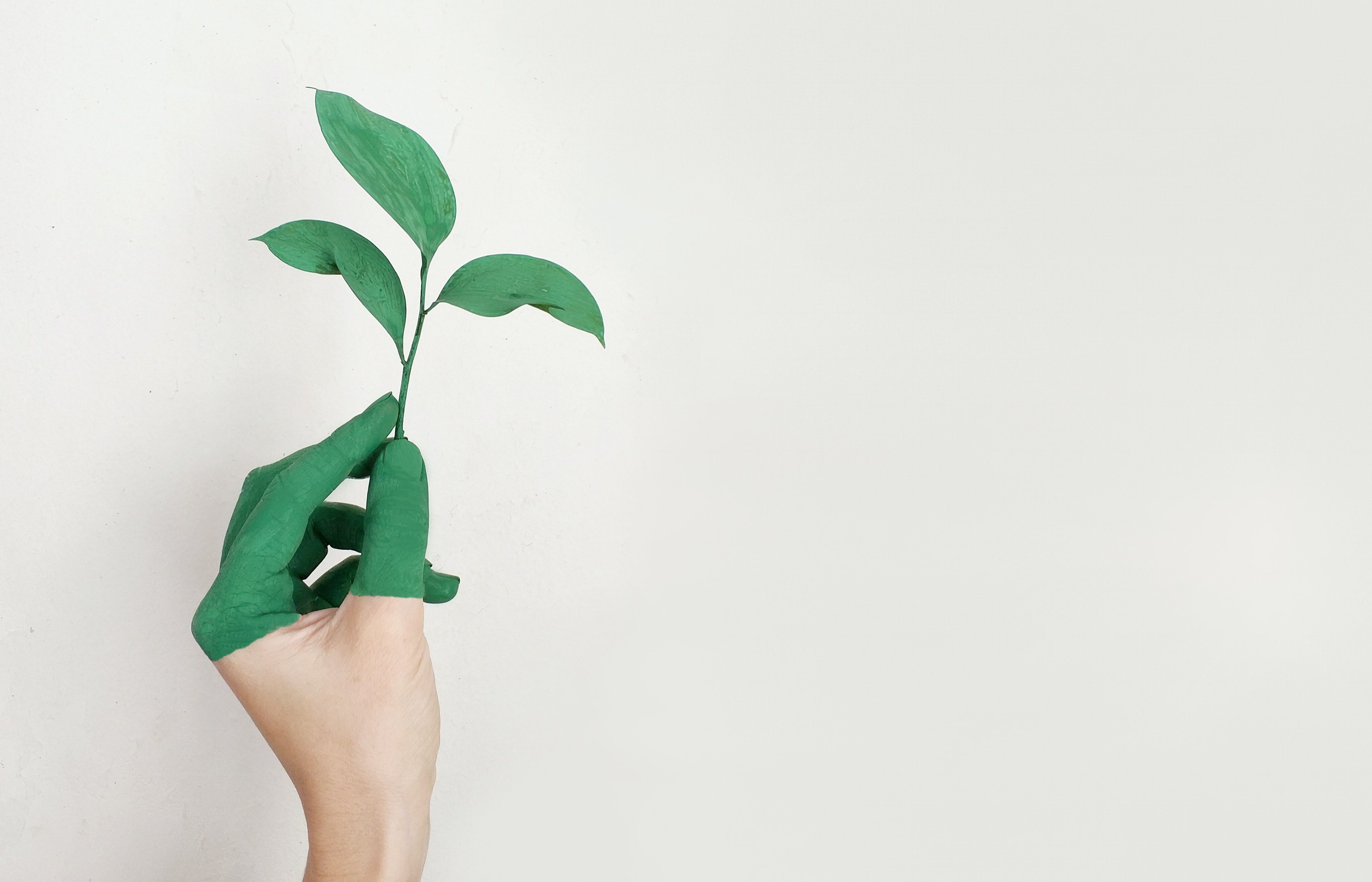 energia verde renovavel renovaveis