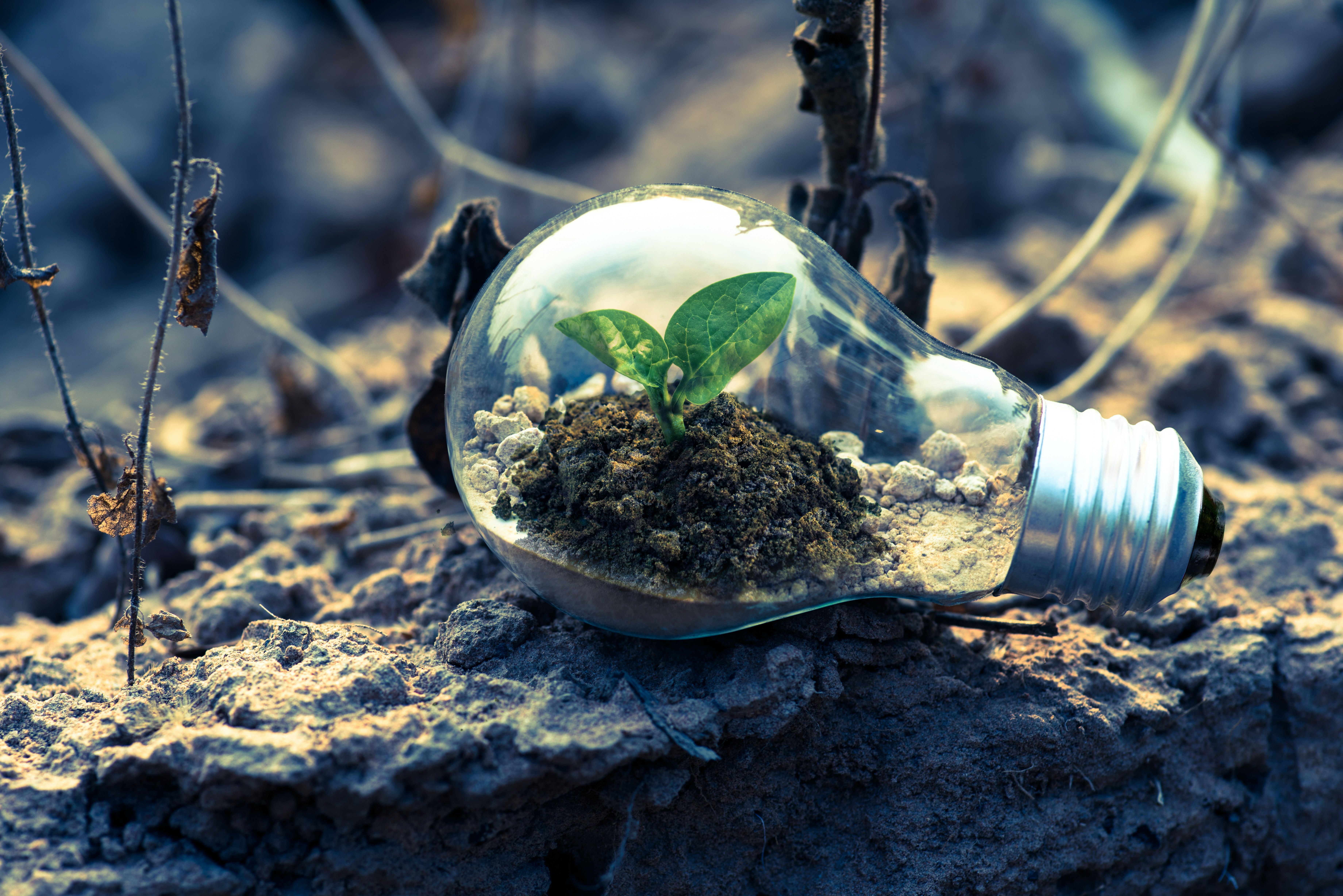 energia verde renovavel renovaveis