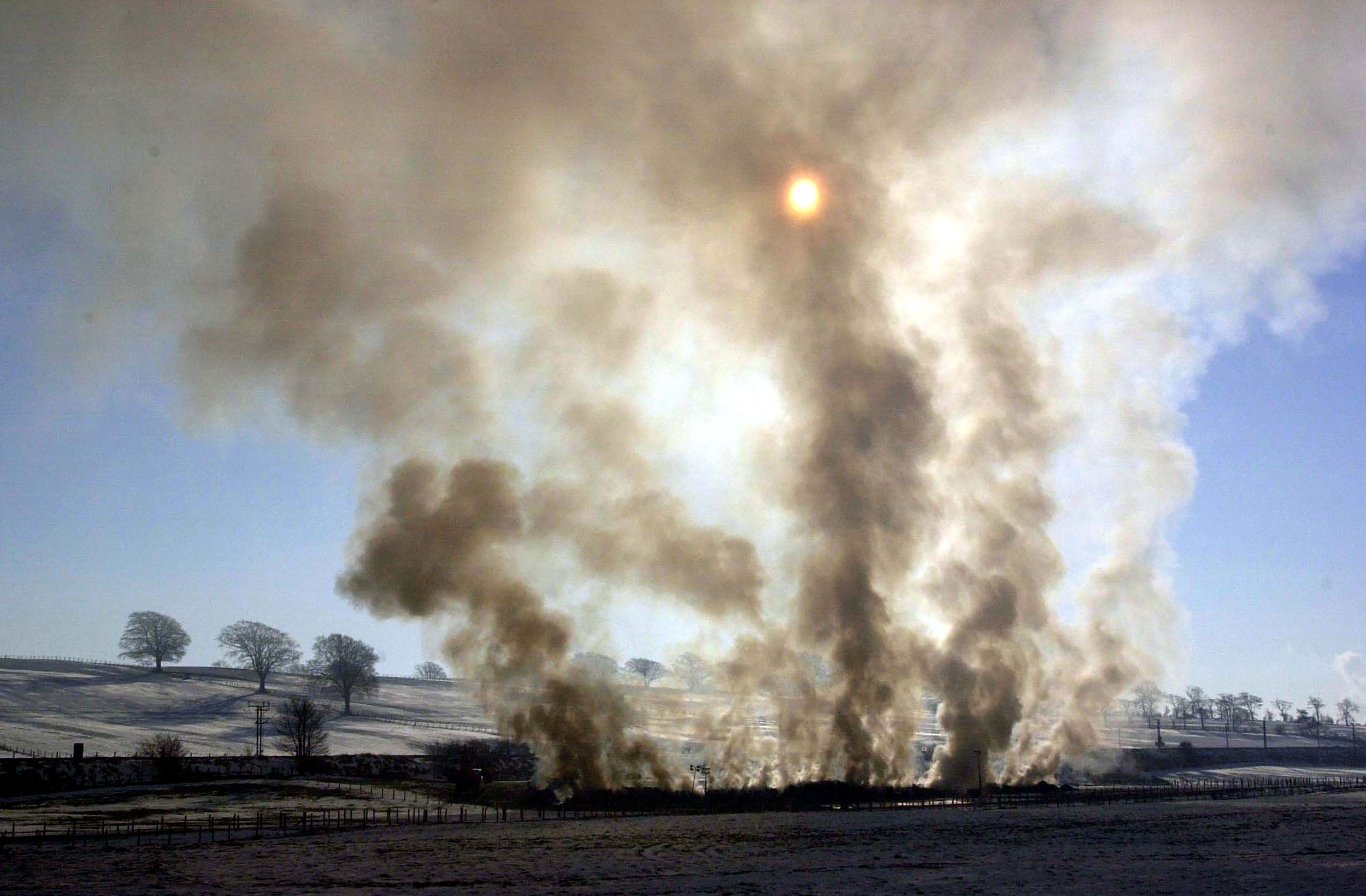 Gado e ovelhas queimam em uma pira em uma fazenda em Lockerbie, Escócia, durante o surto de febre aftosa no Reino Unido em 2001 / David Cheskin/PA Images/Getty Images