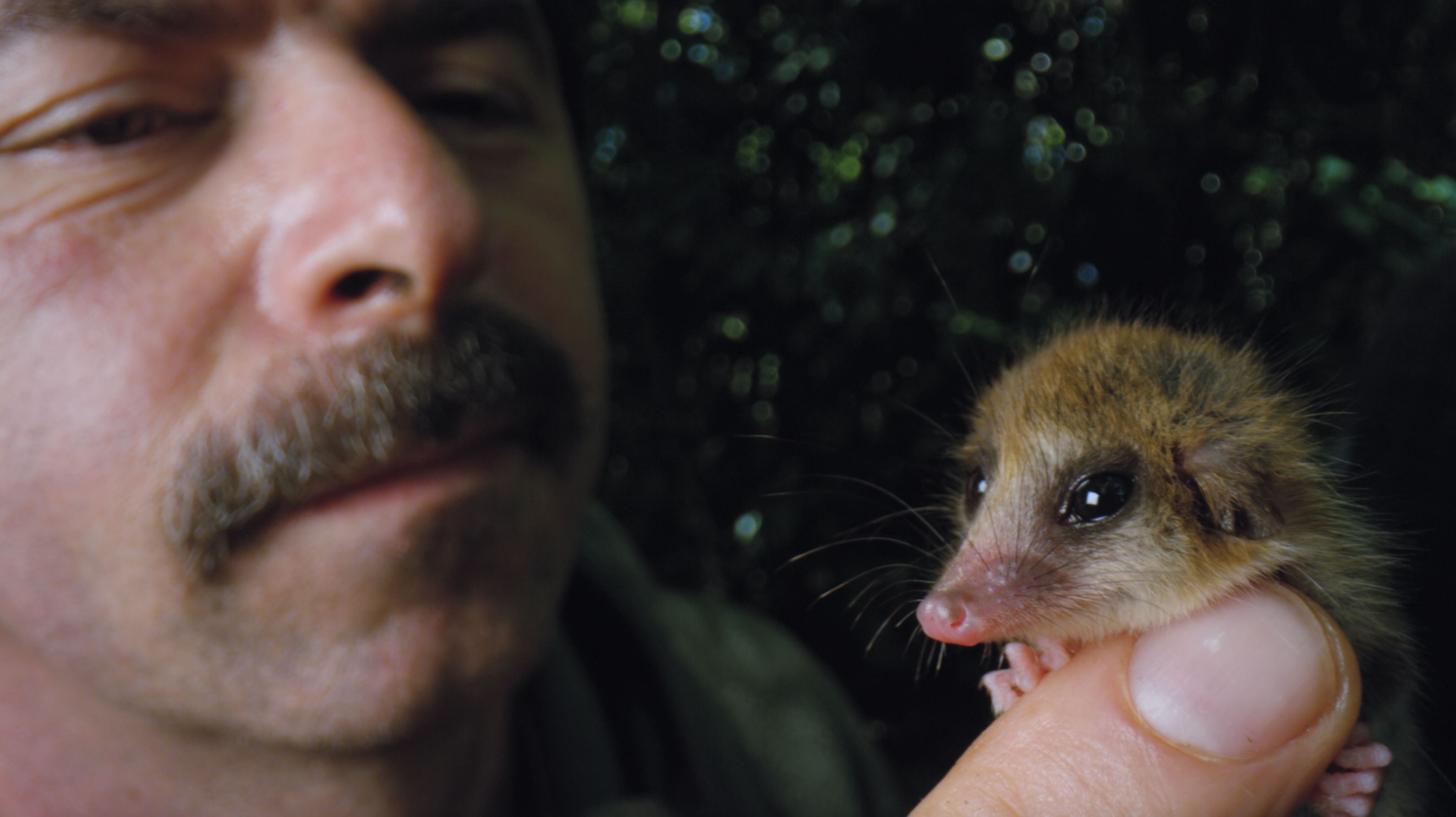 220802103842-patagonia-forests-roberto-nespolo-holding-monito