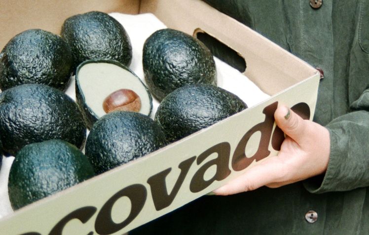 Projetado por Arina Shokouhi, o Ecovado se parece muito com um verdadeiro abacate. / Arina Shokouhi