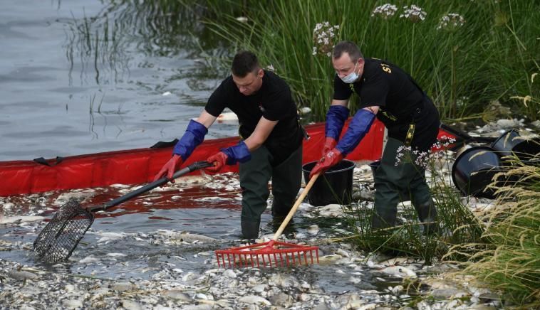 220813111117-01-mass-fish-deaths-german-poland-exlarge-169
