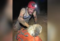 Cachorro é encontrado a 150 metros de profundidade em caverna nos EUA