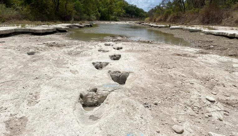As pegadas de dinossauros datam de cerca de 113 milhões de anos atrás / Reprodução/Dinosaur Valley State Park
