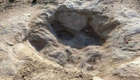 Um enfoque nas pegadas de dinossauros