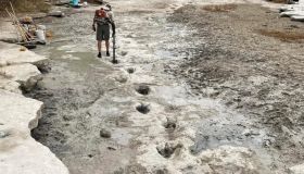 pegadas de dinossauro são descobertas no fundo de rio após forte seca