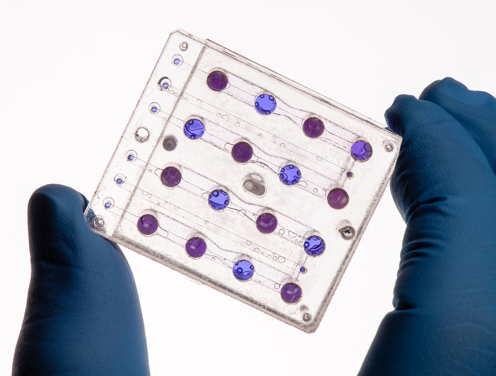 O cartão de microfluídica da BioSentinel ajudará os cientistas a estudar o impacto da radiação do espaço interplanetário na levedura. / Dominic Hart / Nasa