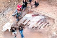 Português descobre caixa torácica de dinossauro enterrada em seu quintal