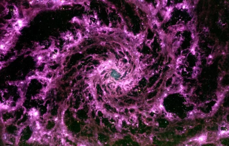 Composição da Galáxia Fantasma M74 feita pelo astrônomo Gabriel Brammer a partir de dados do James Webb. Divulgação/Gabriel Brammer/Janice Lee et al. and the PHANGS-JWST collaboration