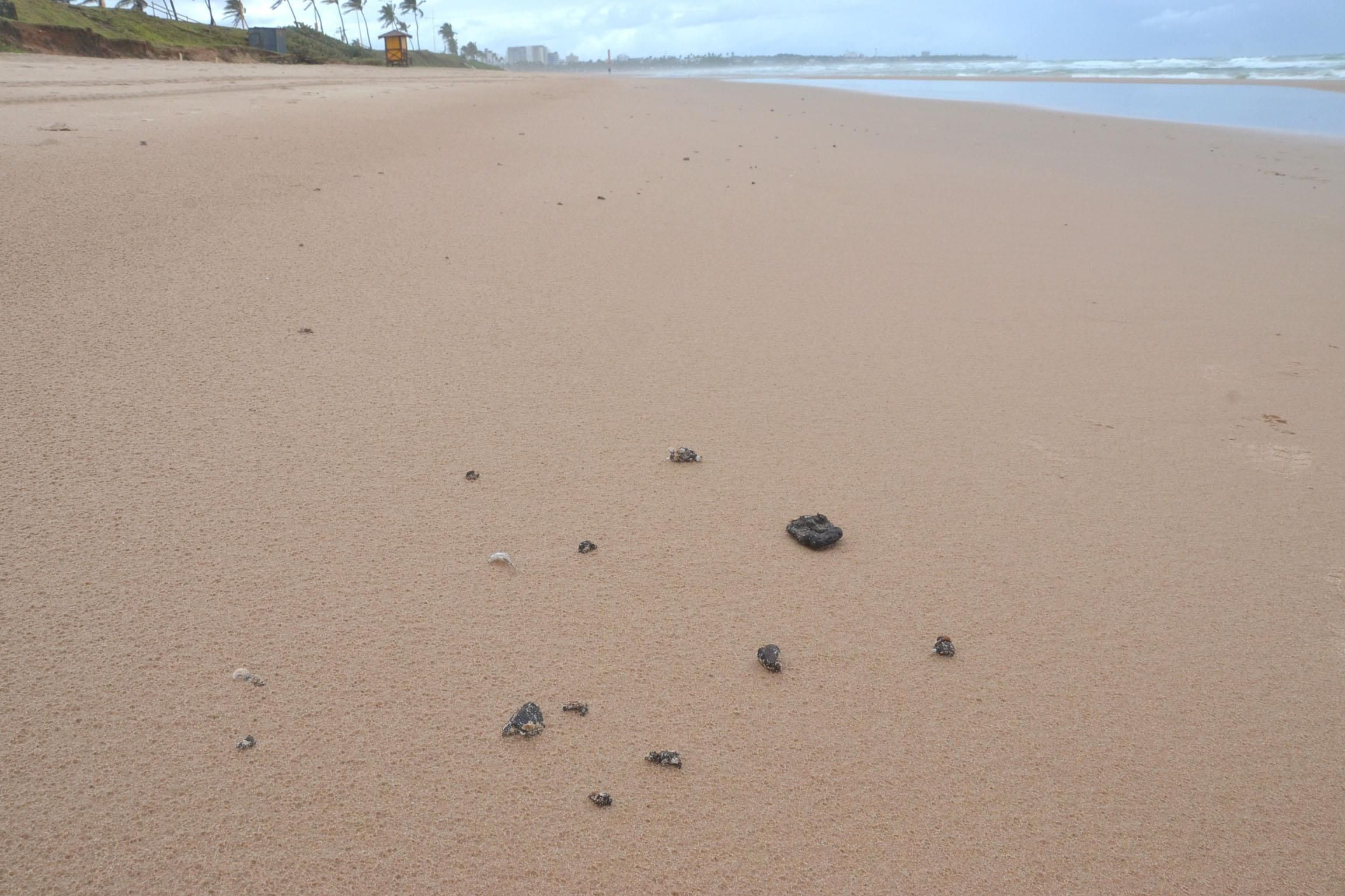 Praia de Salvador poluída por óleo. Reprodução/Romildo de Jesus/Futura Press/Estadão Conteúdo