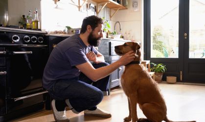 Animal de estimação herdeiro? Veja o caso de quem deixa os bens para o pet nos EUA